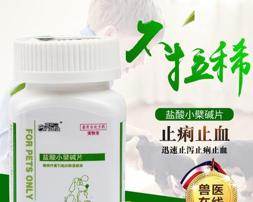 狗狗吐了，该给吃点什么药？（保护宠物健康的关键）
