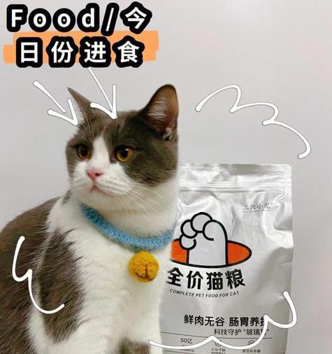 猫拉肚子该吃什么猫粮？（解决猫咪腹泻问题的食谱和护理方法）