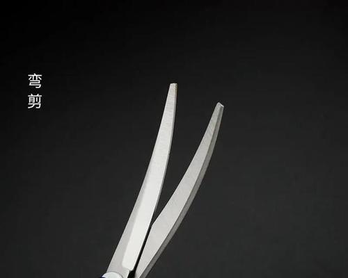 打造完美造型，必备的狗狗美容工具一览（选择合适的工具，让你的狗狗焕发自信）