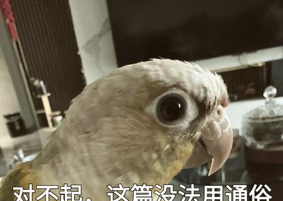 虎皮鹦鹉嘴上摩擦痕迹的奥秘（为什么虎皮鹦鹉嘴上有摩擦痕迹？）