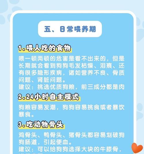 狗疫苗注射后的反应及注意事项（了解狗疫苗注射后可能出现的反应及如何处理）