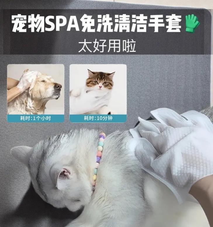 宠物spa，为你的宠物带来舒适享受（探索最适合宠物spa的护理产品和方法）