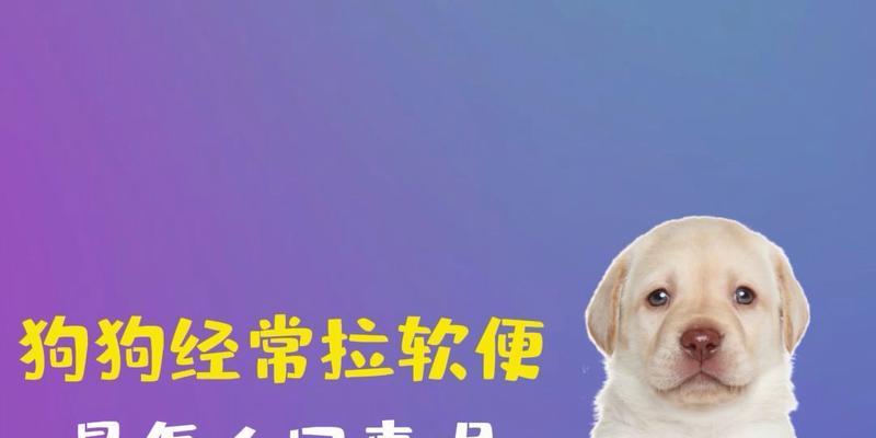 狗便对人的潜在危害（了解狗便中存在的问题及防范措施）