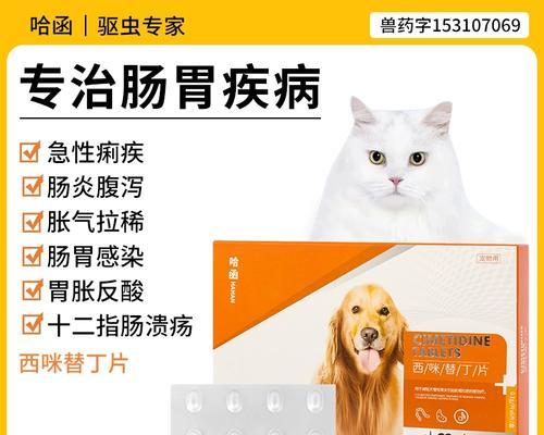 狗狗胃口不好，试试这些药物（为你的爱宠提供最佳的胃部保护）