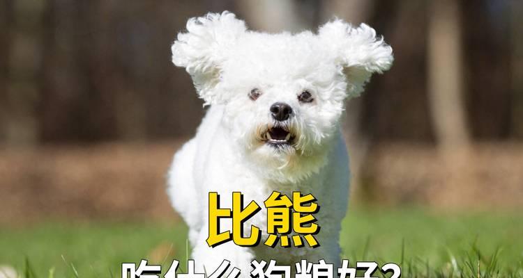 以比熊经期吃什么缓解（探讨比熊在经期中的饮食需求和缓解方法）