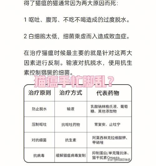 以思密达什么时候吃好（探讨最佳食用时机及养生之道）