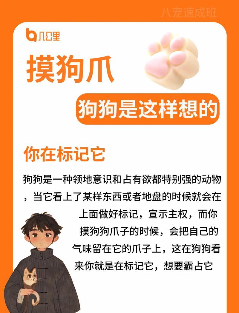 以狗爪裂了摸什么意思？（探索狗爪裂摸象征的多重意义）