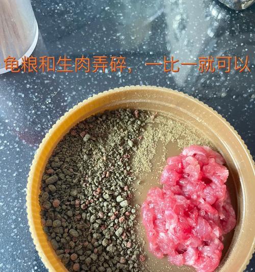 红腿幼龟如何快速生长（探秘红腿幼龟的饮食需求和生长关键）