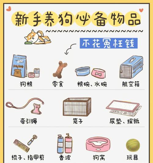 如何给狗狗选择最适合的药物？（探讨狗狗不食药的原因及解决方法）