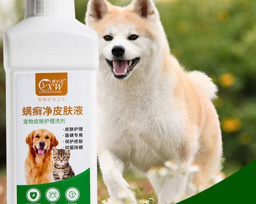 如何有效治疗狗身上的螨虫（选择适合的药物是关键）