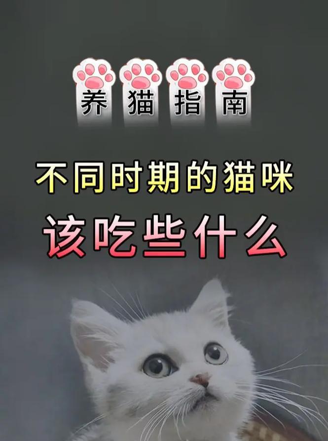 幼猫应该吃什么奶（喂养幼猫所需的奶类及注意事项）