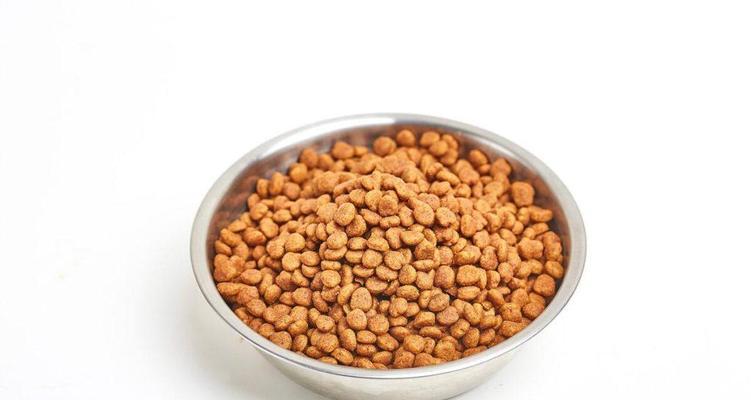 了解贵宾犬的饮食禁忌与合理营养（关注贵宾犬的饮食健康，让爱宠健康成长）