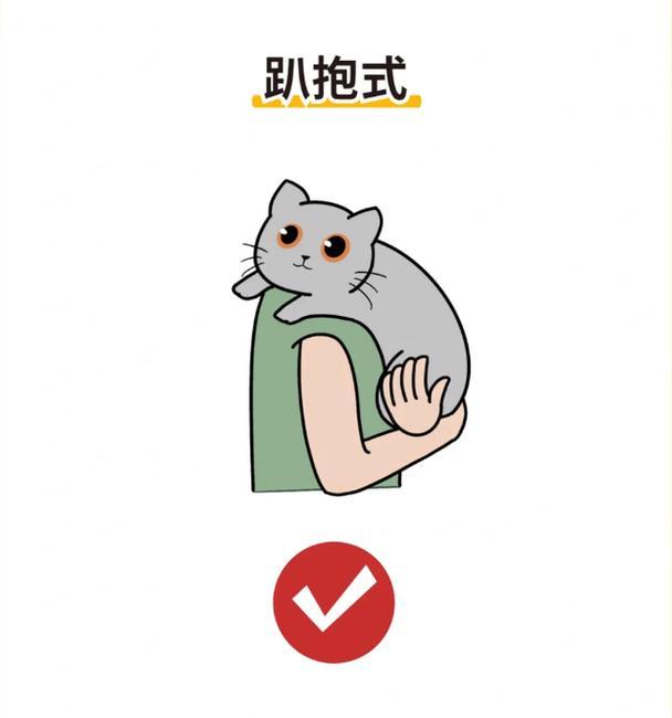 为什么猫咪不喜欢被抱？（探寻猫咪不让抱的原因及解决方法）