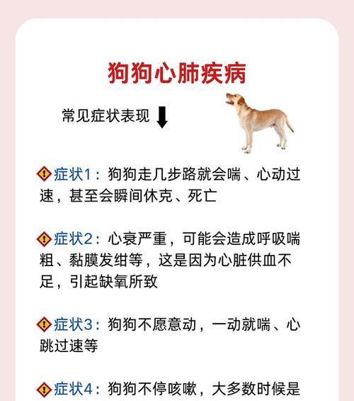 狗狗早上喘气咳嗽的原因及解决方法（了解狗狗早上喘气咳嗽的常见原因，保护它们的健康）
