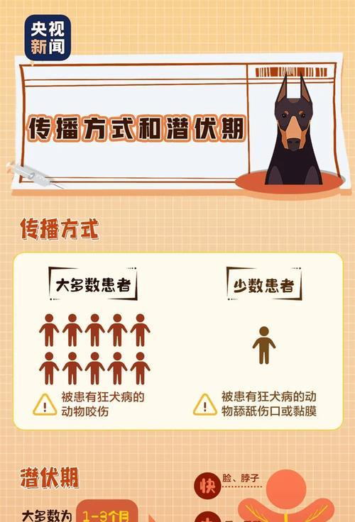 从狗身上看疫情防控关键作用