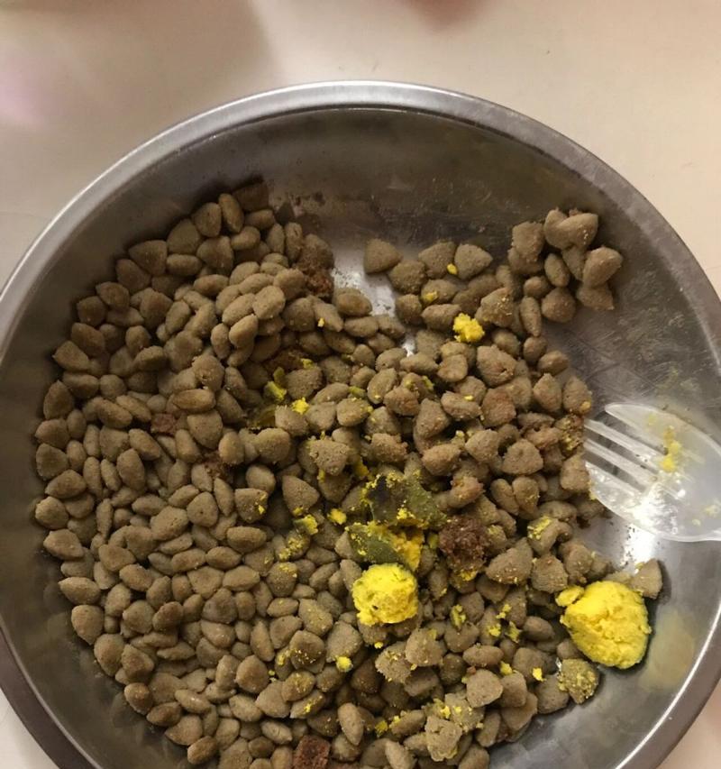 三个月狗的饮食需求及建议（营养均衡、适度饮食、科学喂养）