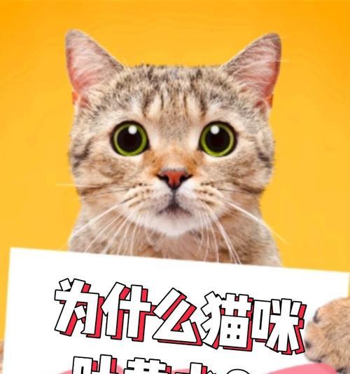 探秘阿拉斯加（揭开阿拉斯加为何会吐黄水的原因及其影响）