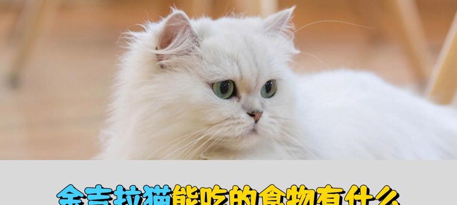 小猫的饮食习惯与喂养（了解小猫的饮食需求，为它们提供健康营养）
