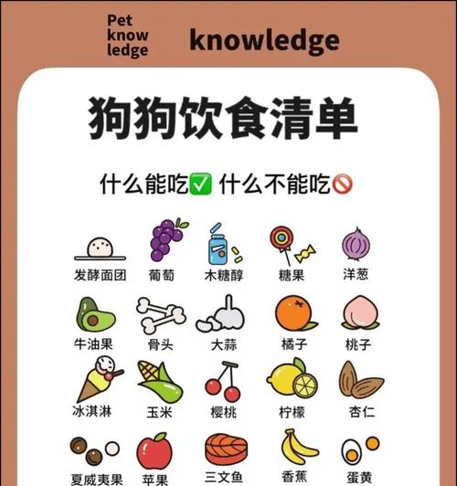 小狗的健康饮食（为你的小狗提供最佳的营养和味蕾享受）