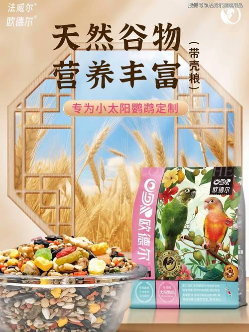 鹦鹉鱼的理想饲料选择（为您揭秘鹦鹉鱼所需的完美饲料）