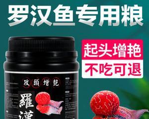 提高罗汉鱼颜色的饲料选择（为你的罗汉鱼增添绚丽色彩，选择适合的饲料吧！）