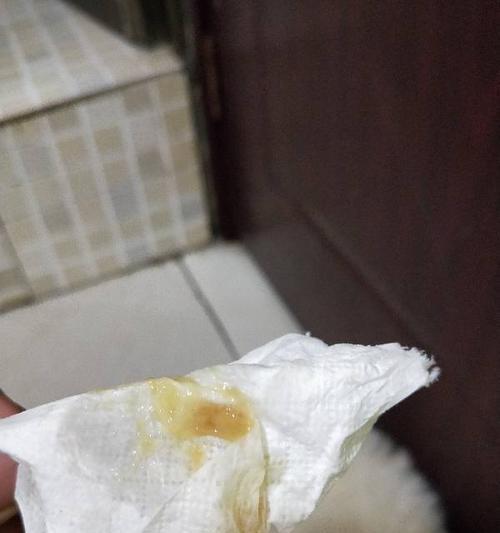 狗狗下体白色物质问题解析（了解狗狗下体白色物质的成因与处理方法）