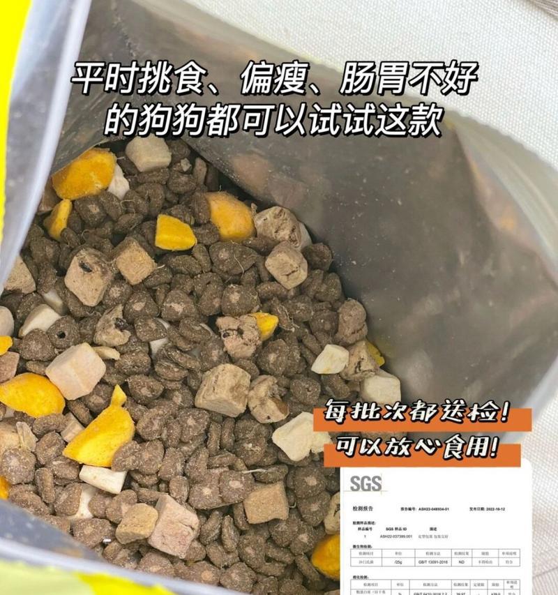边牧饮食指南——健康饮食的关键（全面了解边牧的饮食需求，为你的伙伴提供最佳营养）