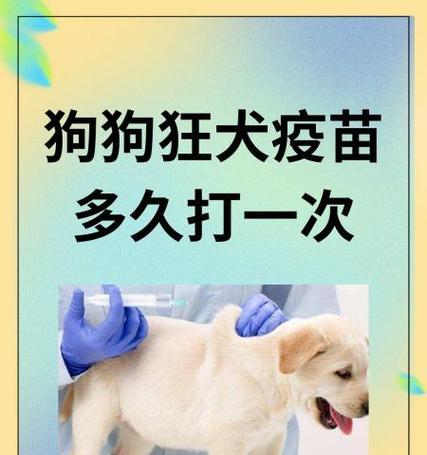 狗狗的常规疫苗接种需知（狗狗健康保护的关键——定期接种疫苗）