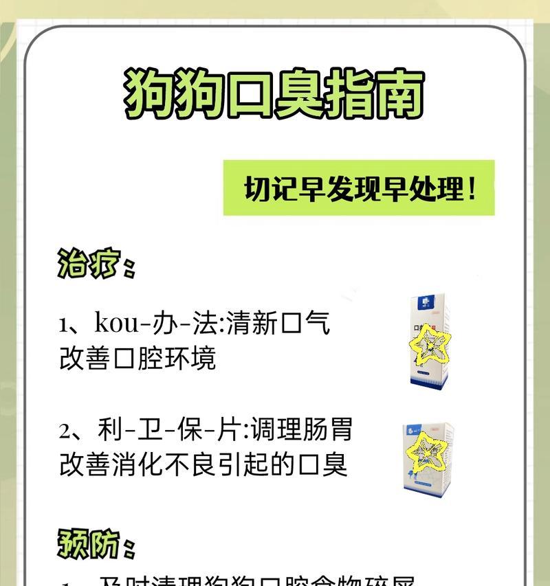 狗狗口臭的原因及解决方法（了解狗狗口臭的根源，让你的宠物保持清新口气）