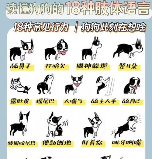 狗狗舔的原因解析（从温情表达到生理需求，了解狗狗舔的多重含义）