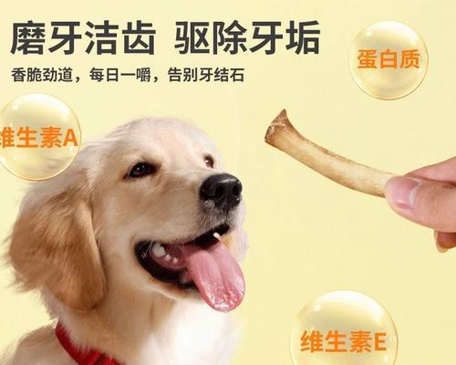 小狗缺钙的原因及补钙食物推荐（了解小狗缺钙的原因，为它选择合适的补钙食物）