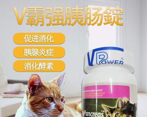 狗胰腺炎的治疗药物（胰腺炎治疗药物的种类和注意事项）