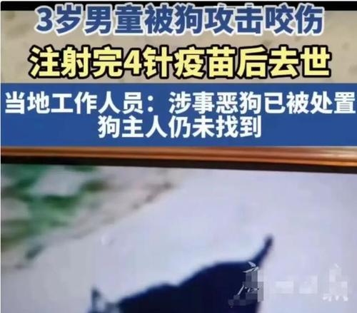 了解狂犬病，保护我们的宠物（狂犬病是什么？哪些狗容易感染？预防措施有哪些？）