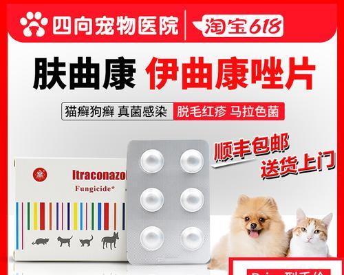 狗狗耳朵发红，如何选择合适的药物进行治疗？（狗狗耳朵红肿怎么办？给你专业的解决方案！）