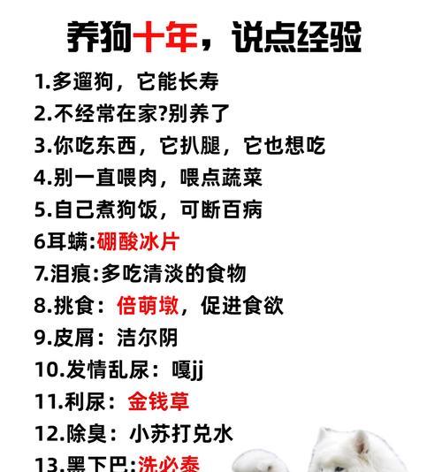 探究狗狗为何乱吃东西的原因及应对方法（为什么狗狗会乱吃东西？如何解决这个问题？）