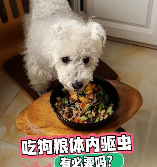 狗狗的饮食习惯与健康饮食（狗狗的营养需求和适宜食物选择）