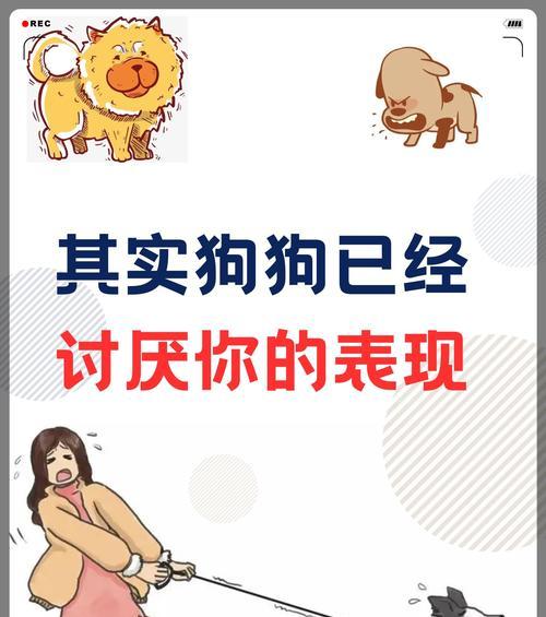 狗狗总抓耳朵的原因分析（探究狗狗频繁抓耳朵的原因与解决方法）
