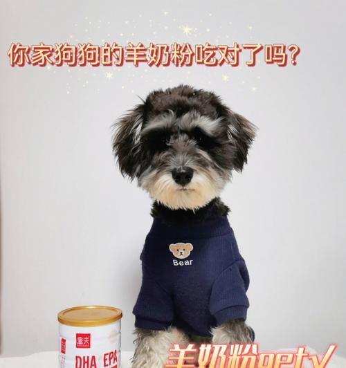 狗狗的奶粉选择（为你的小狗提供最好的营养初步）