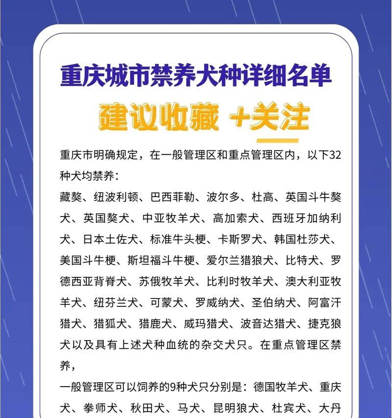 怀孕期养狗的危害及预防方法（养狗与孕育新生命，需要注意的关键点）