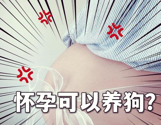 狗狗会怀孕的情况分析（揭秘狗狗怀孕的关键因素及繁殖周期）