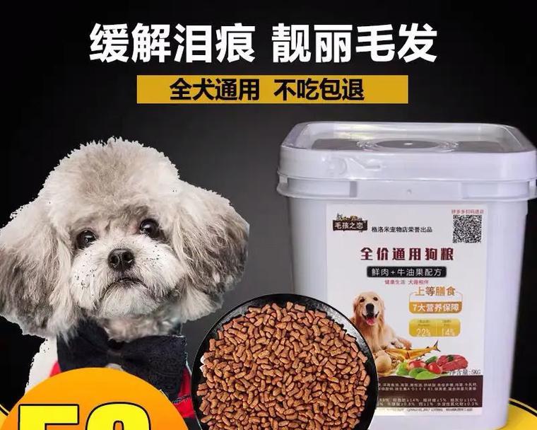 泰迪肠胃不好吃点什么？（为你的泰迪提供健康饮食建议）