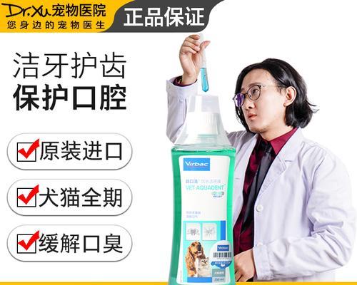 猫咪口臭问题解决之道（选择适合的药物是关键）