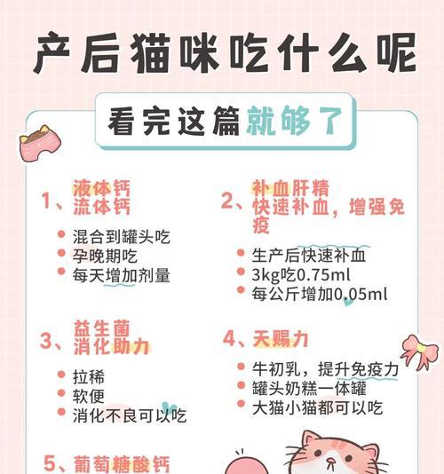 如何帮助猫咪恢复拉稀问题（选择适合的食物，让猫咪健康回复）