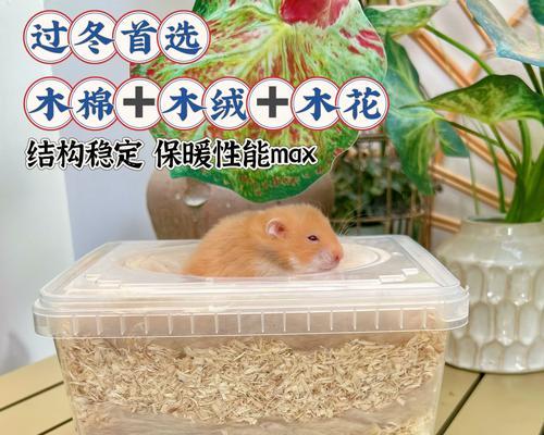 仓鼠安全过冬指南（如何为你的仓鼠做好冬季准备）