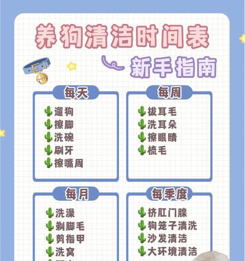 如何消除养狗家庭异味（清洁妙招让你的家远离异味）