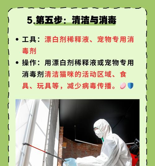 如何判断猫咪是否感染了猫瘟？（使用猫瘟试纸进行简单的检测方法）