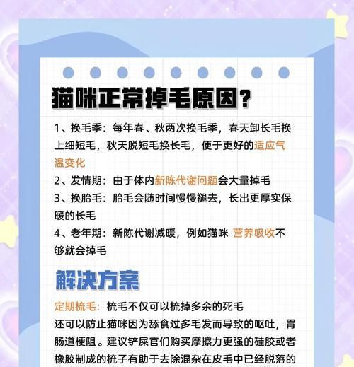 春天猫掉毛持续多久？（猫咪脱毛期间的关键信息一览）