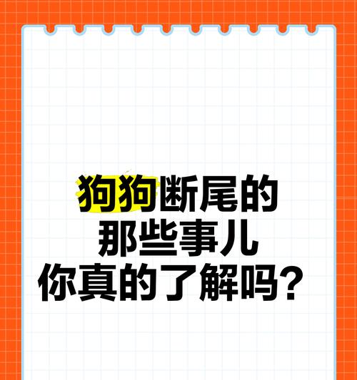狗狗断尾的最佳时期与注意事项（研究显示，狗狗断尾时间不宜过迟）