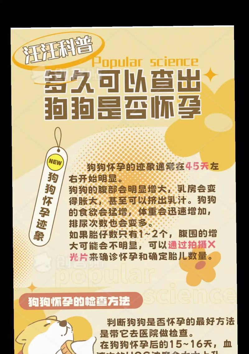 狗狗生产前多久准备好？（了解狗狗生产前的时间和准备工作）