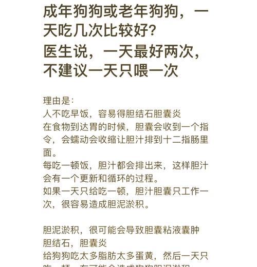 泰迪吃一顿需要多久？（探寻泰迪狗独特的进食行为和时间需求）